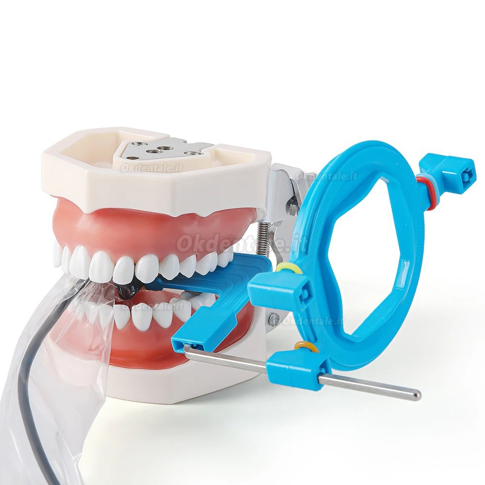 Porta sensore centratore, Sistema centratori endorali odontoiatrici 2.0